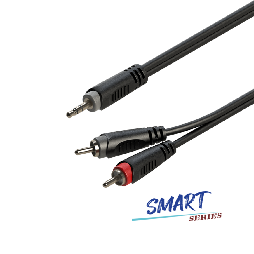 Cable Mini Plug 3.5mm a 2 Plug 6.3mm 3m Roxtone (SAYC150L3)