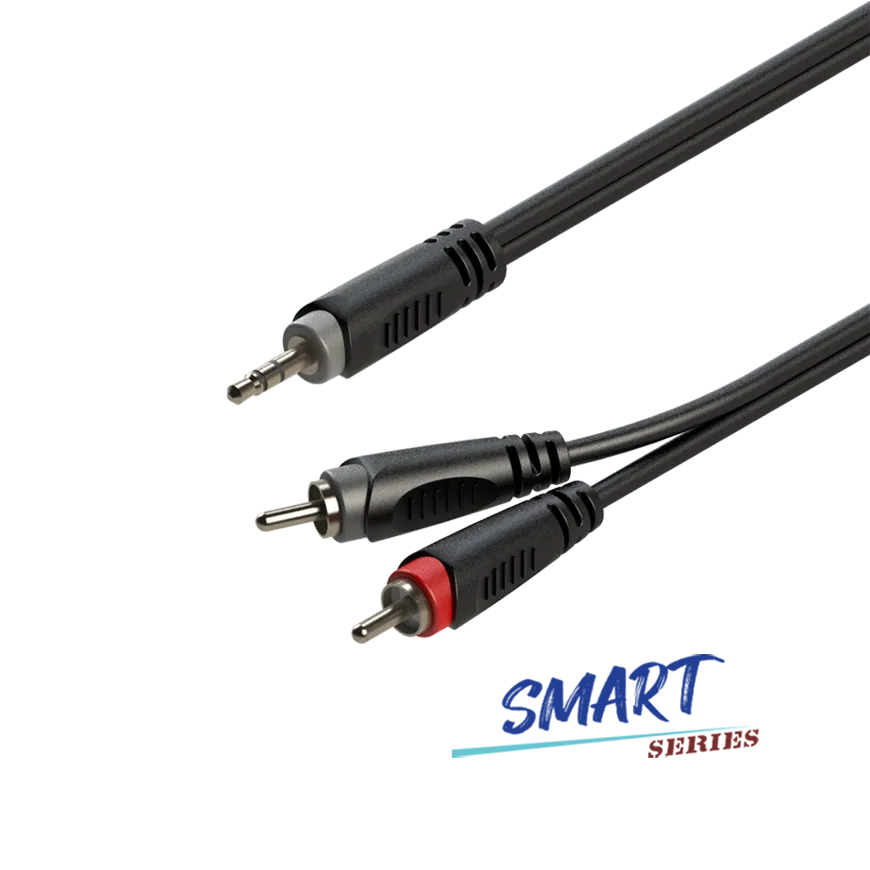 Cable Mini Plug 3.5mm a 2 Plug 6.3mm 3m Roxtone (SAYC150L3)